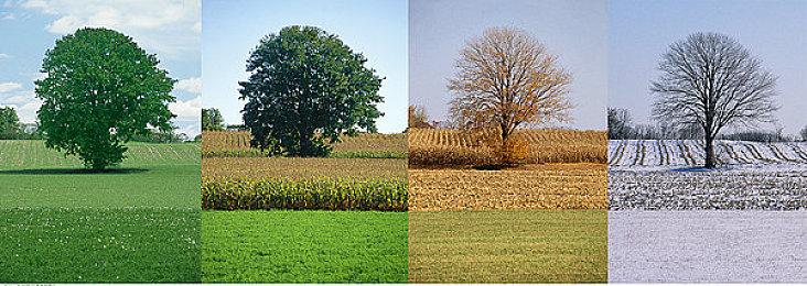 《星际公民》Alpha 3.17.2版更新 服务器承载量翻倍