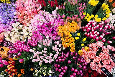 《暗黑破坏神4》抢先体验异常顺利 无卡顿崩溃现象发生